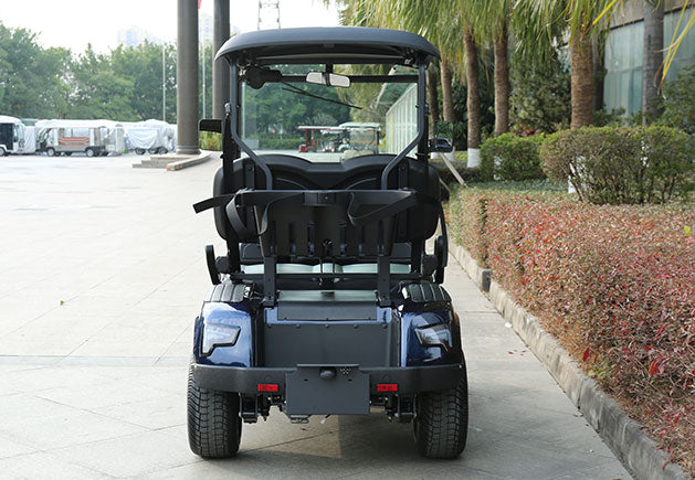 WSM JX2-105 | 2-Sitzer GolfCart mit Straßenzulassung (Klasse L6e)