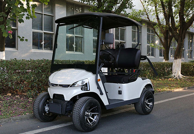 WSM JX2-105 | 2-Sitzer GolfCart mit Straßenzulassung (Klasse L6e)