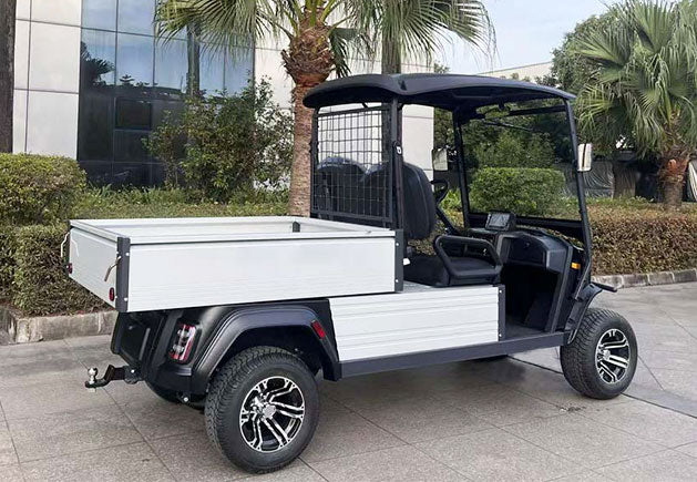 WSM JX2-Cargo-150 | 2-Sitzer Golfcar mit Transportbox und Straßenzulassung