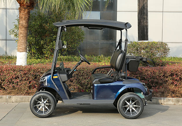 WSM JX2-105 | 2-Sitzer GolfCart mit Straßenzulassung (Klasse L6e)