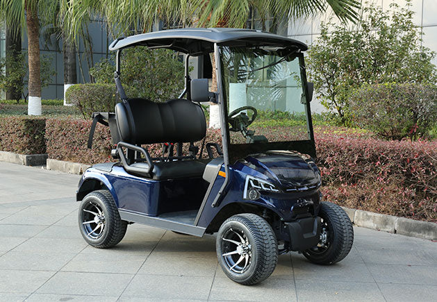 WSM JX2-105 | 2-Sitzer GolfCart mit Straßenzulassung (Klasse L6e)