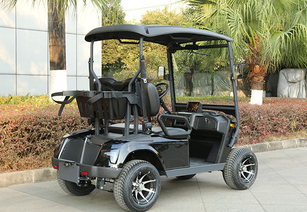 WSM JX2-105 | 2-Sitzer GolfCart mit Straßenzulassung (Klasse L6e)