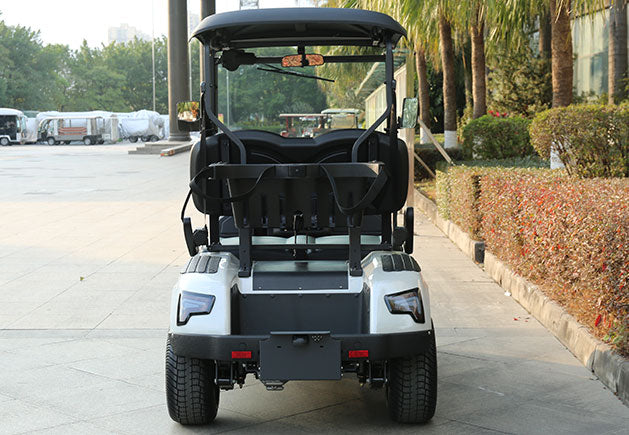WSM JX2-105 | 2-Sitzer GolfCart mit Straßenzulassung (Klasse L6e)