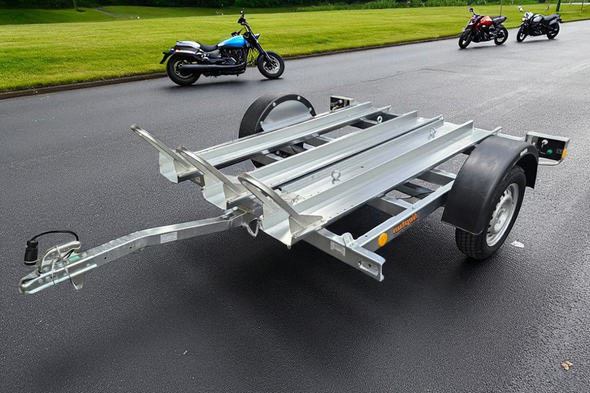 Neptun Moto N7-221 pm3 205x149 cm — 1 Achse, ungebremst