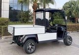 WSM JX2-Cargo-150 | 2-Sitzer Golfcar mit Transportbox und Straßenzulassung